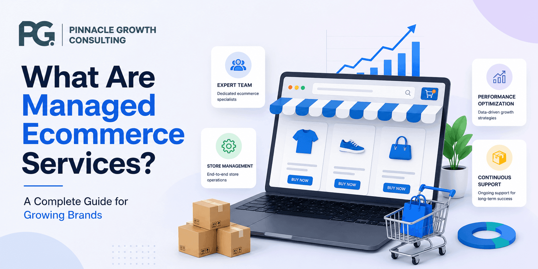 What Are Managed Ecommerce Services? A Complete Guide for Growing Brands
